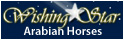 Wishing Star